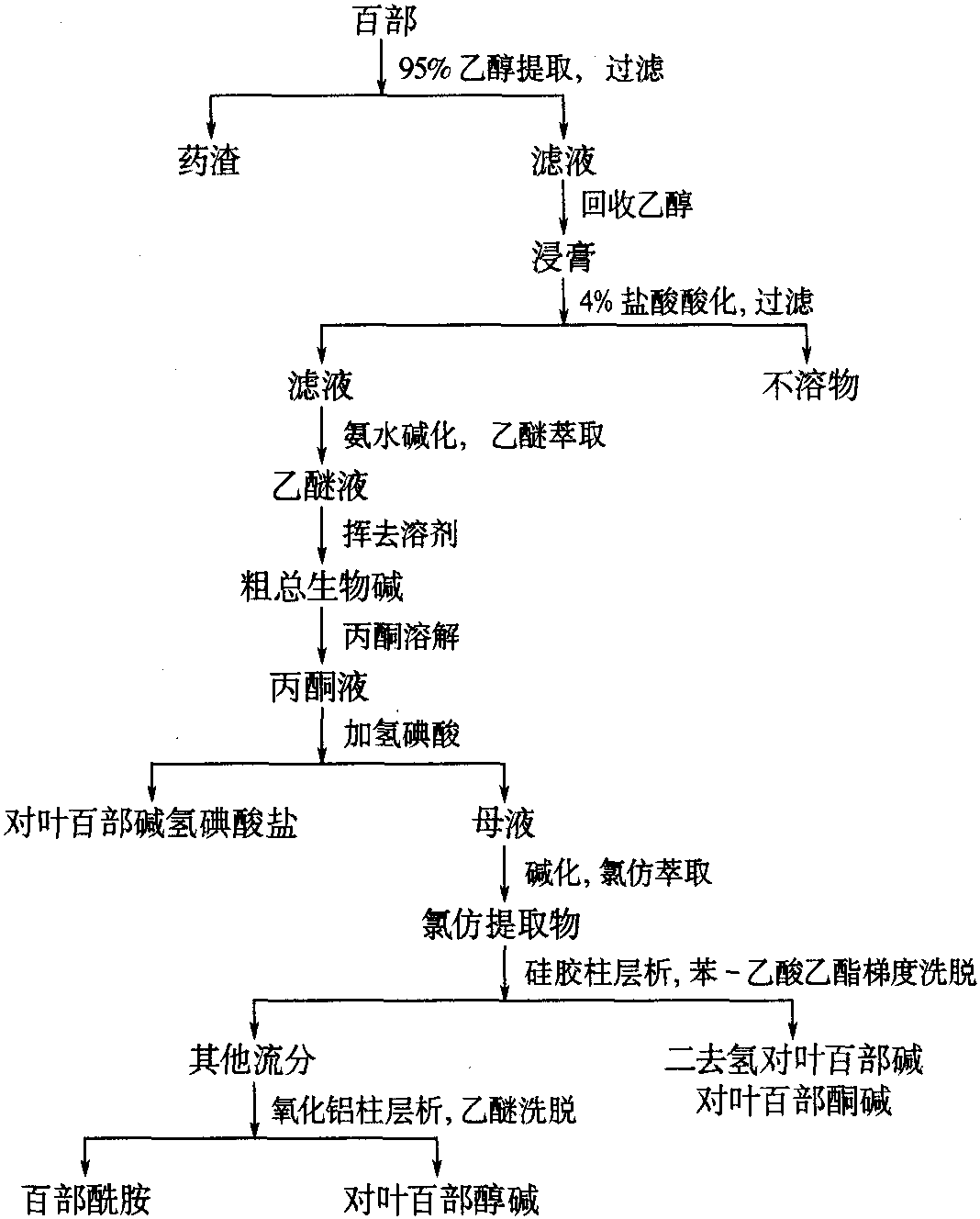 百部